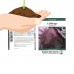 Red Acre Cabbage Garden Seeds - 25 Lbs Bulk - Heirloom, Non-GMO Vegetable Gardening Seed - Cabbage Micro Green Seed   566832369